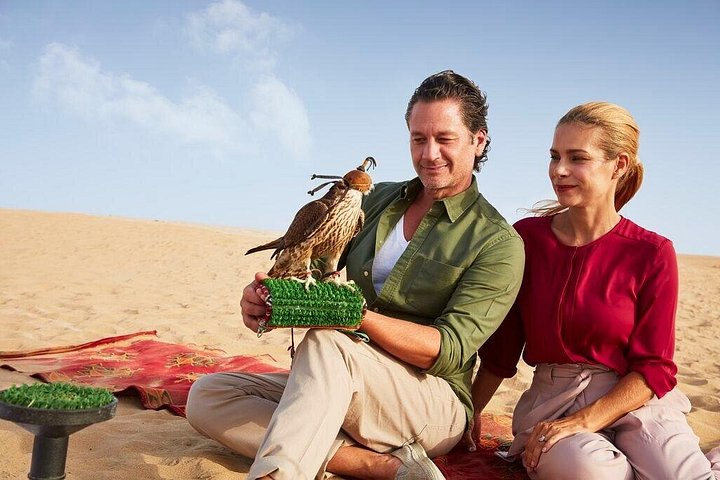 Dubai: Royal Falconry Training Experience - Photo 1 of 13